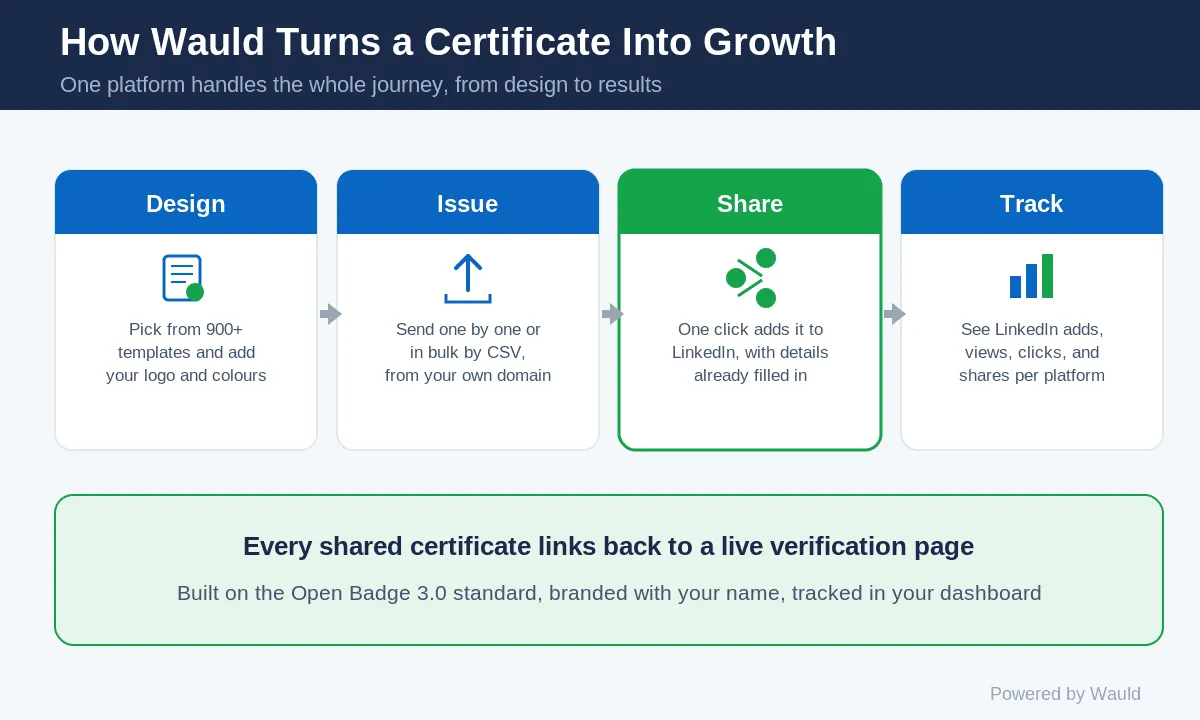 How Wauld turns a certificate into growth